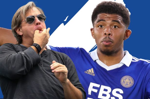 森林狼外线火力全开（森林狼外线手感爆棚）